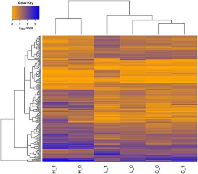 Genome-Wide Transcriptional and Post-transcriptional Regulation of Innate Immune and Defense Responses of Bovine Mammary Gland to Staphylococcus aureus